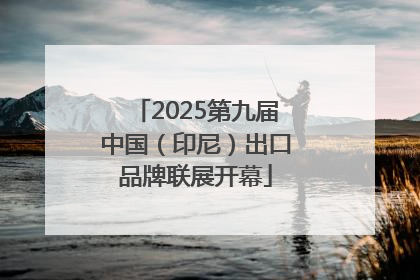 2025第九届中国（印尼）出口品牌联展开幕