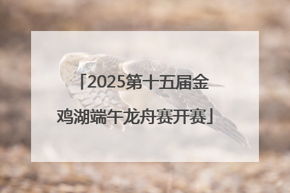 2025第十五届金鸡湖端午龙舟赛开赛