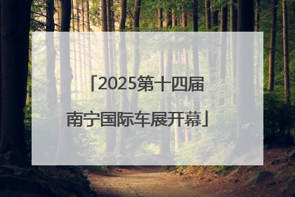 2025第十四届南宁国际车展开幕
