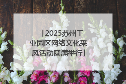 2025苏州工业园区网络文化采风活动圆满举行