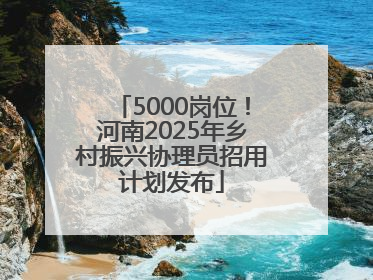 5000岗位！河南2025年乡村振兴协理员招用计划发布