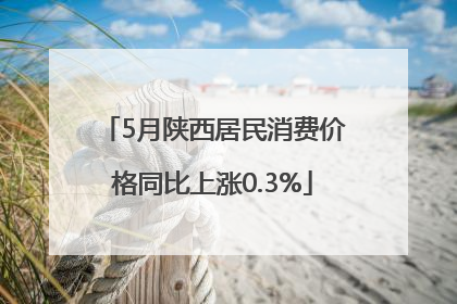 5月陕西居民消费价格同比上涨0.3%