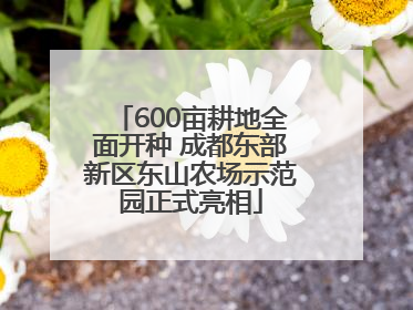 600亩耕地全面开种 成都东部新区东山农场示范园正式亮相