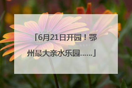 6月21日开园！鄂州最大亲水乐园……