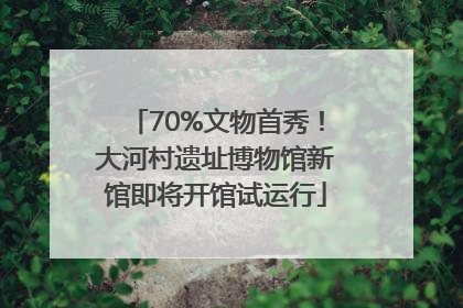 70%文物首秀！大河村遗址博物馆新馆即将开馆试运行