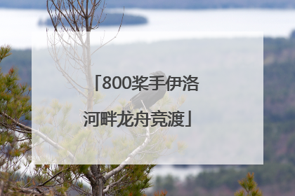 800桨手伊洛河畔龙舟竞渡