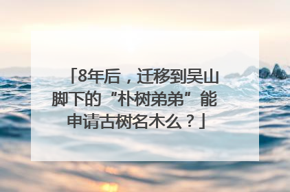 8年后，迁移到吴山脚下的“朴树弟弟”能申请古树名木么？