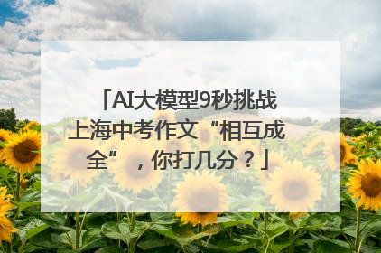 AI大模型9秒挑战上海中考作文“相互成全”，你打几分？