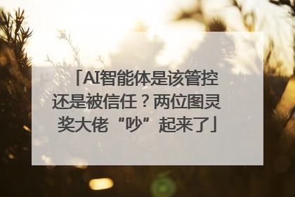 AI智能体是该管控还是被信任？两位图灵奖大佬“吵”起来了