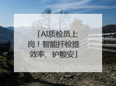 AI质检员上岗！智能扦检提效率、护粮安