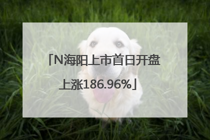 N海阳上市首日开盘上涨186.96%