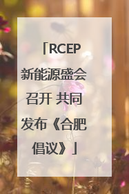 RCEP新能源盛会召开 共同发布《合肥倡议》
