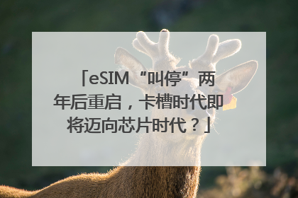 eSIM“叫停”两年后重启，卡槽时代即将迈向芯片时代？